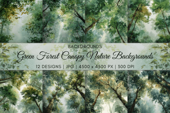 The Forest Canopy: A Visual Sanctuary for Modern Creators